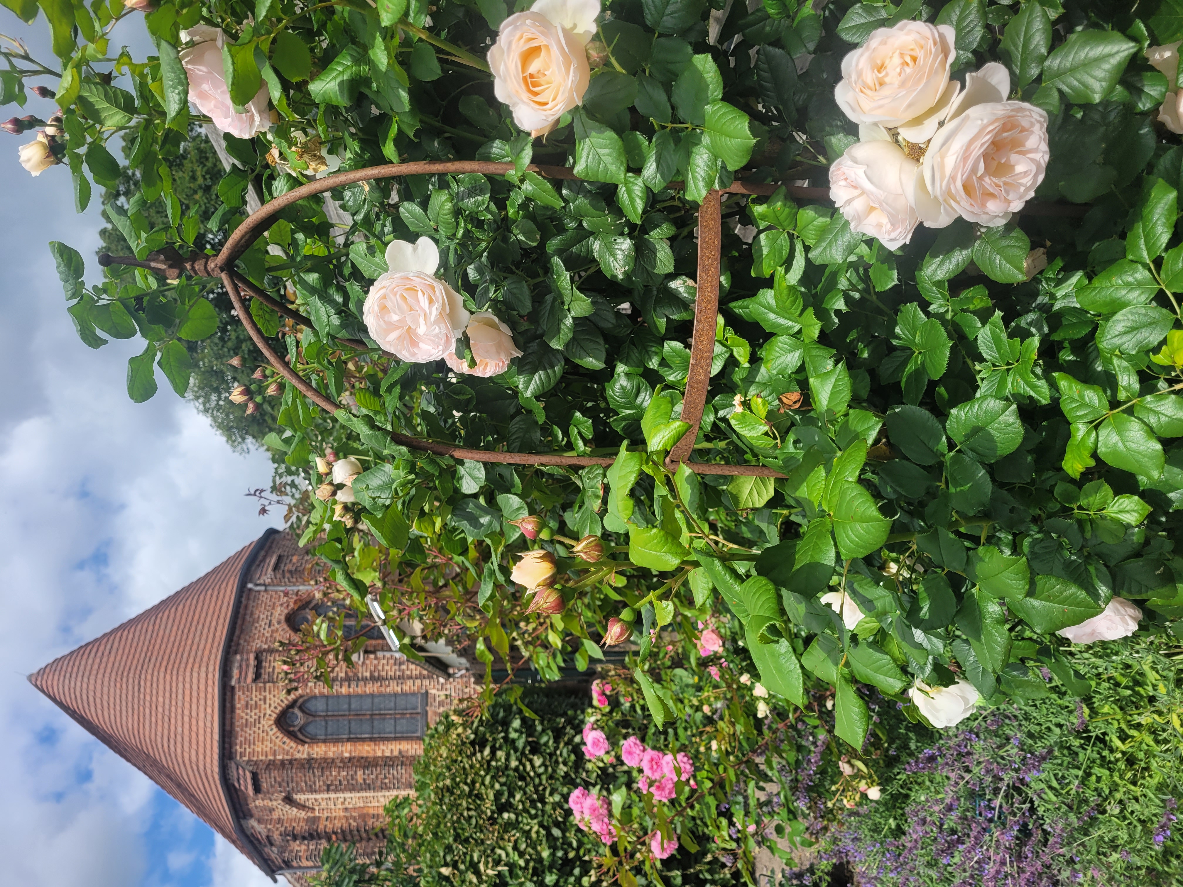 Kostenfreier Eintritt in das Bibelzentrum Barth